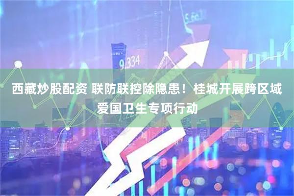 西藏炒股配资 联防联控除隐患！桂城开展跨区域爱国卫生专项行动